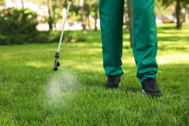 Best Pest Control for Businesses  in Royse City, TX