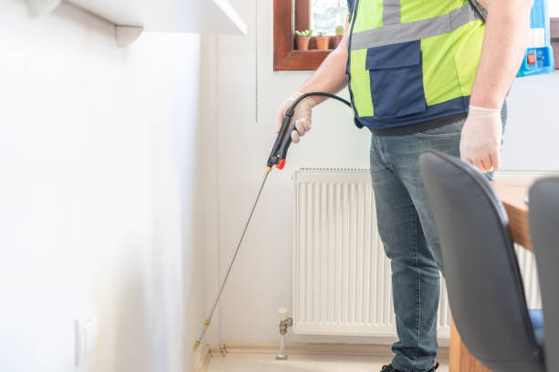Best Local Pest Control Services  in Royse City, TX