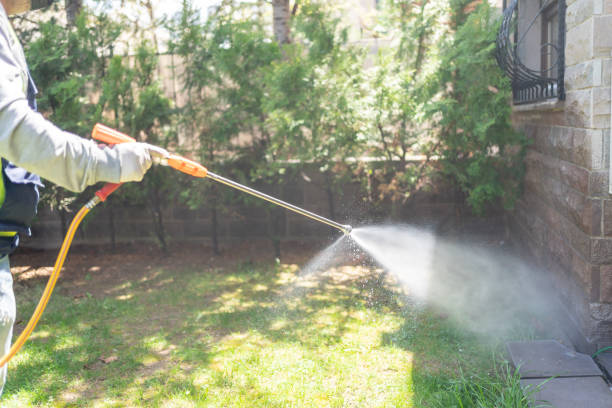 Best Termite Control Services  in Royse City, TX