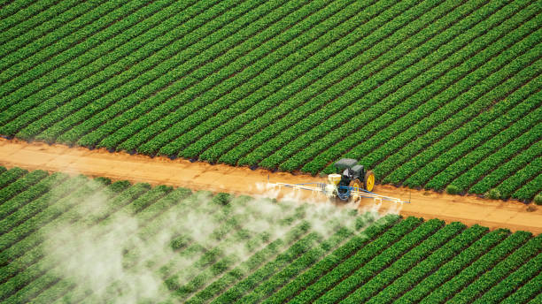 Reliable Royse City, TX Pest Control Solutions