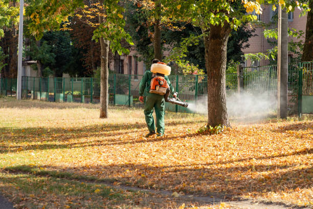 Best Pest Removal Services  in Royse City, TX