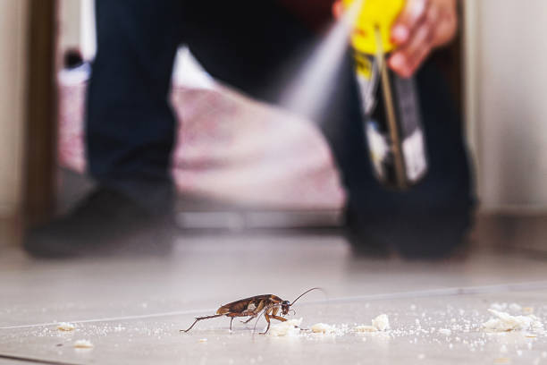 Best Mosquito Control Services  in Royse City, TX