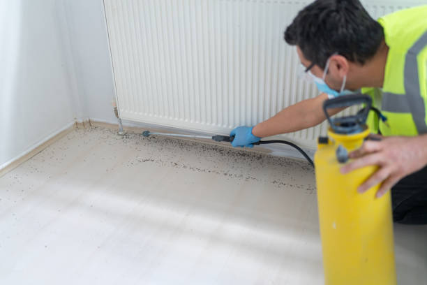 Best Wasp Removal Services  in Royse City, TX